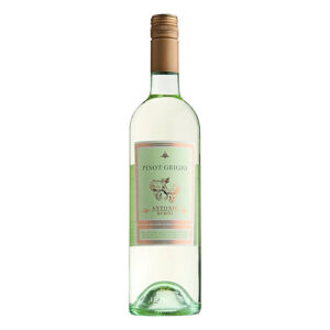 Antonio Rubini Pinot Grigio Delle Venezia, Italy